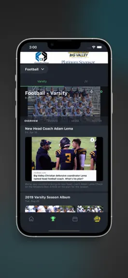 Game screenshot BVCS Lions hack