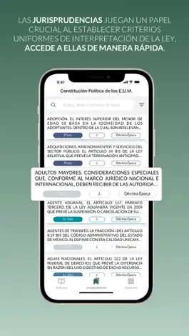 Game screenshot Constitución México hack