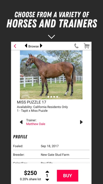 MyRacehorse screenshot-4