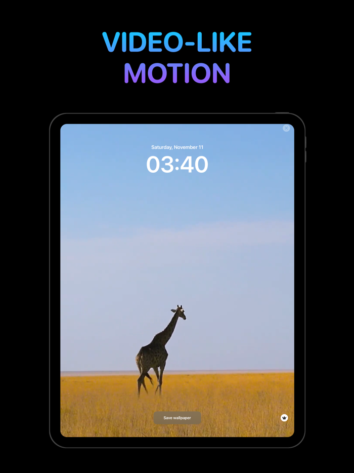 Video Wallpapers - 4K HDR