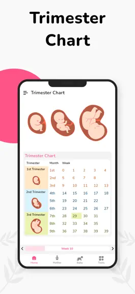 Game screenshot Pregnancy Tracker Week by Week apk