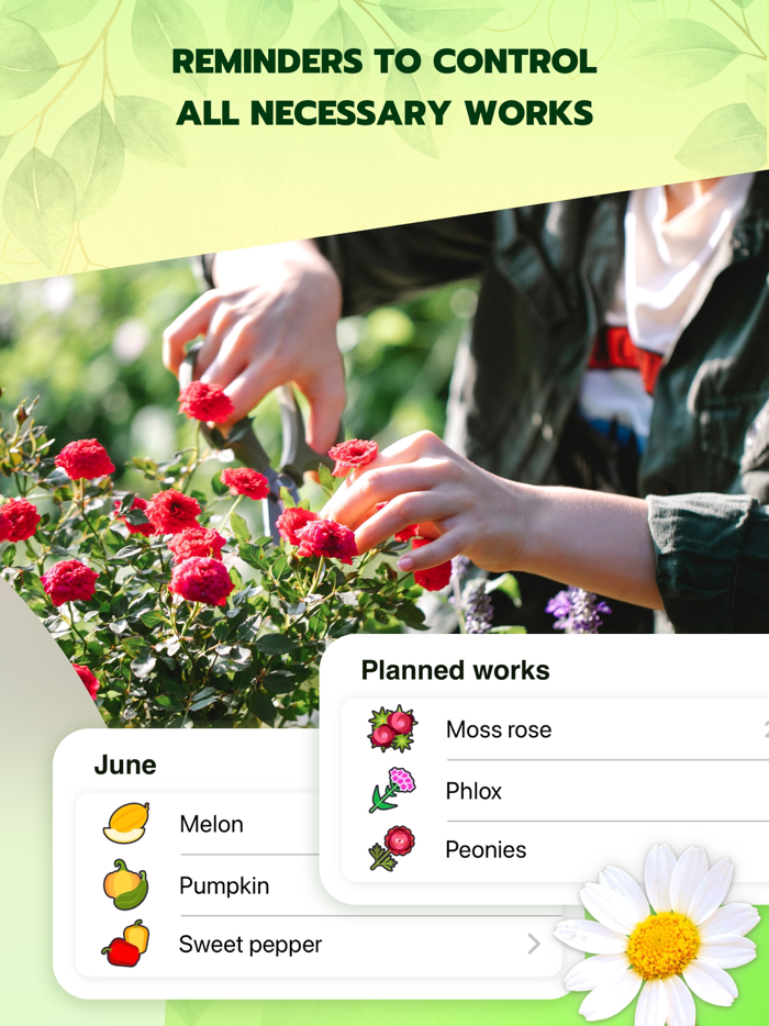 Garden Designer - Lawn Planner