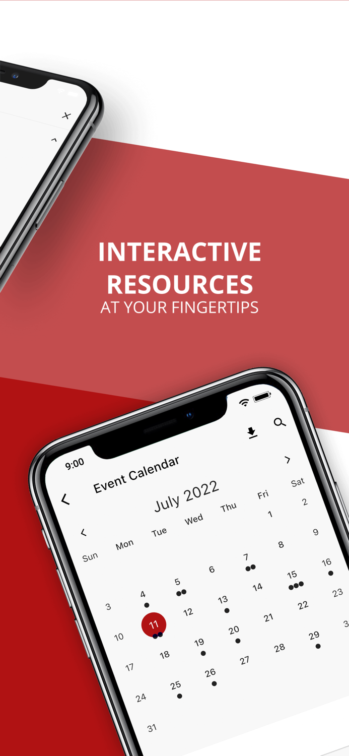 Father Michael McGivney C.A.