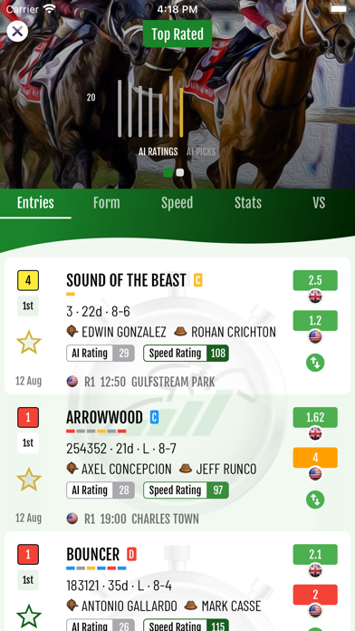Racing Asset - Horse Racing Screenshot