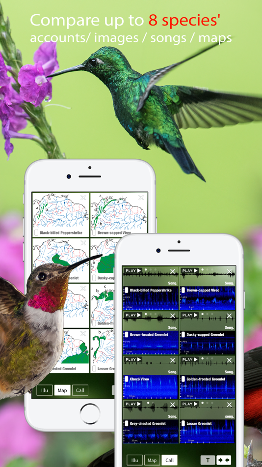 #8. All Birds Colombia field guide (iOS) Podle: Sunbird Images OHG