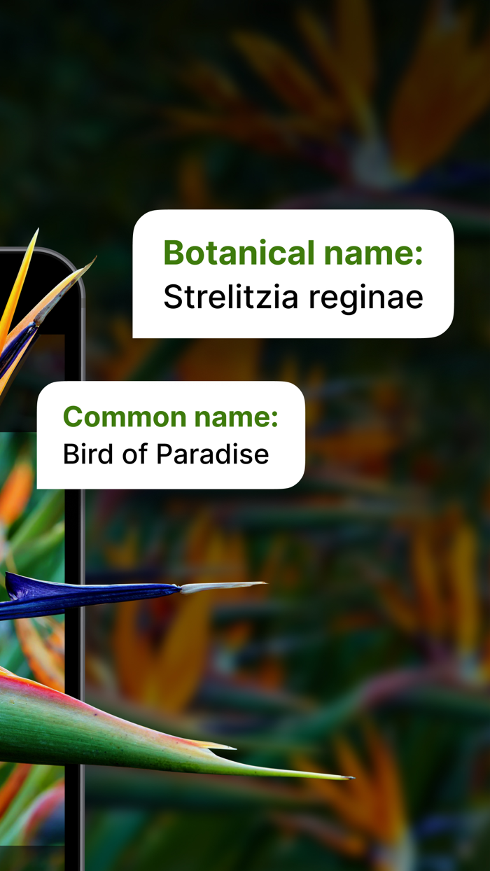 Plant Identifier AI PlantSnap