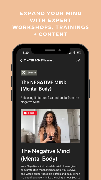 Live Free Lifestyle Screenshot