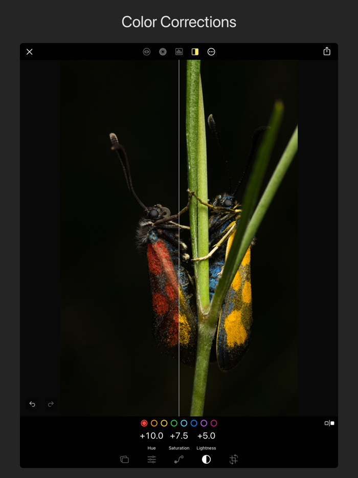 Pixigy RAW Photo Editor