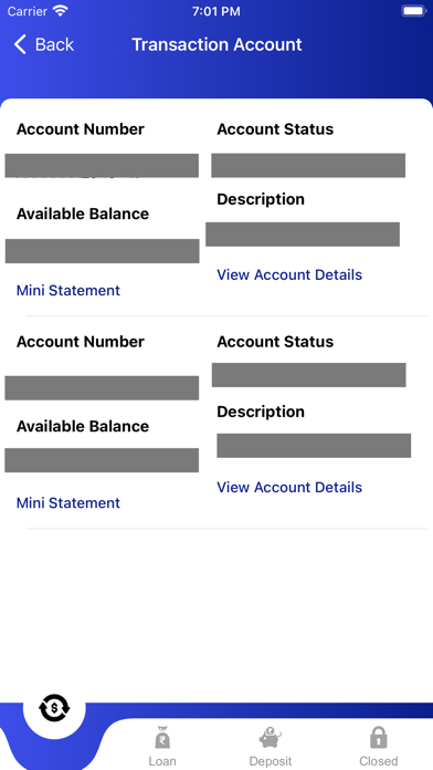 Mizoram Rural Mobile Banking Screenshot