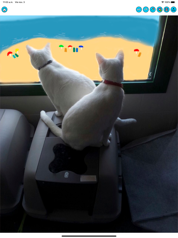 Draw on a photo iPad screenshot 4 - Photo & Video app