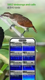 birdly - birdlife australia iphone screenshot 3