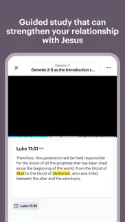 bibleproject iphone screenshot 2