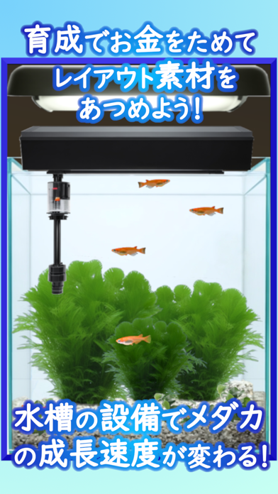 Medaka Aquarium Breeder Screenshot