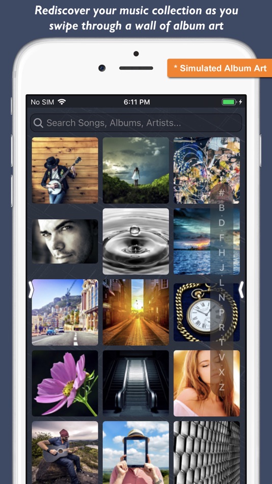 Platinum Album Music Player - 4.0 - (iOS)