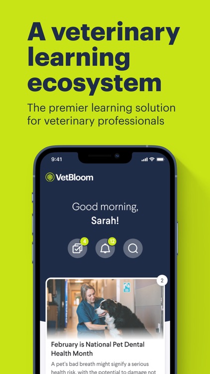 VetBloom