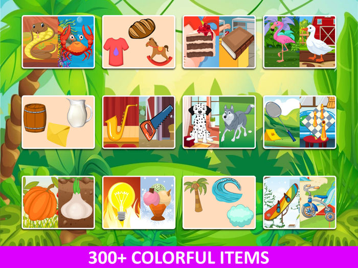 Baby Learning Advanced Sorter