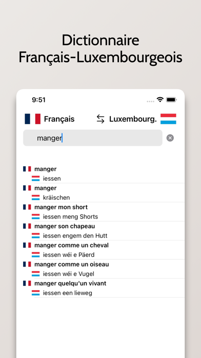 Luxembourgeois-Français Screenshot