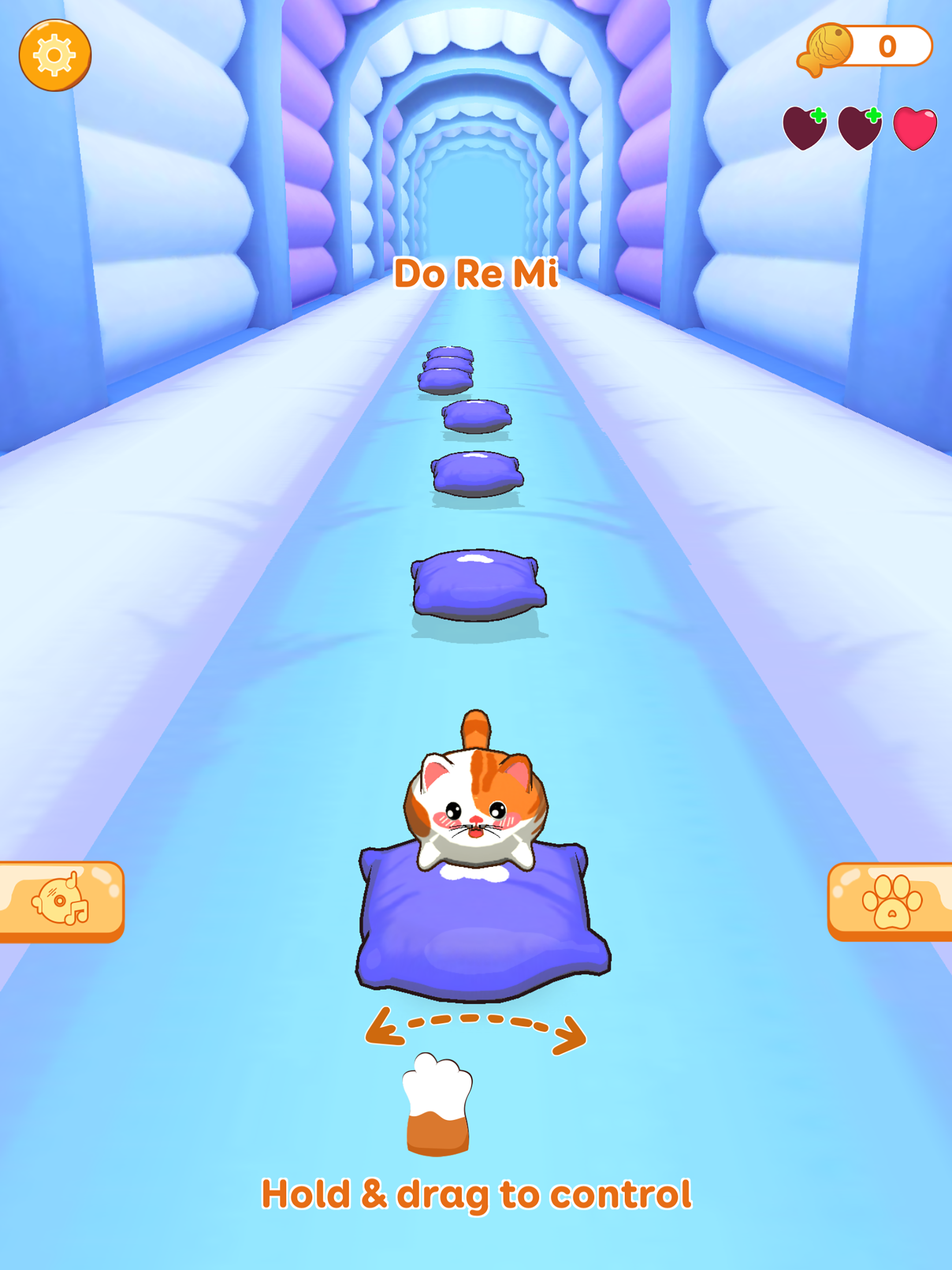 Cats HOP