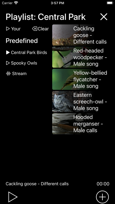 Birds of North America: Sounds Screenshot