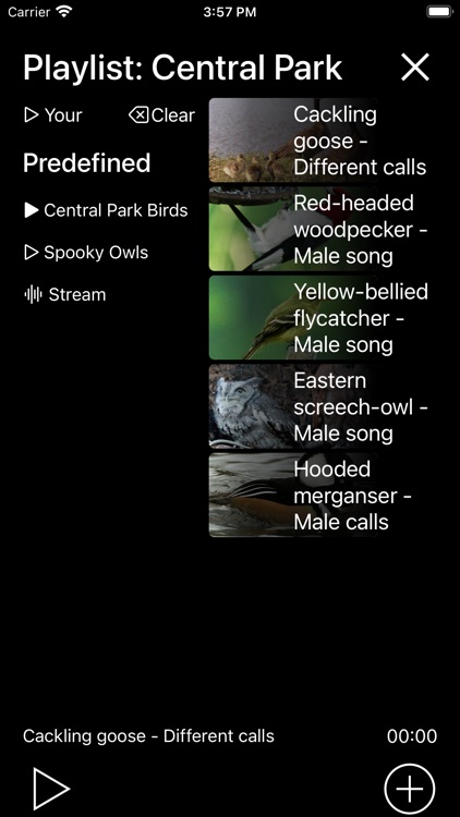 Birds of North America: Sounds screenshot-7