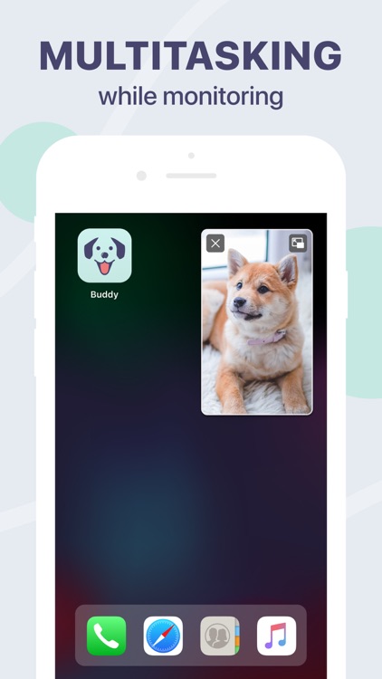 Dog Monitor Buddy & Pet cam screenshot-4