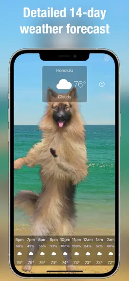 Game screenshot Dog Days Weather Live hack