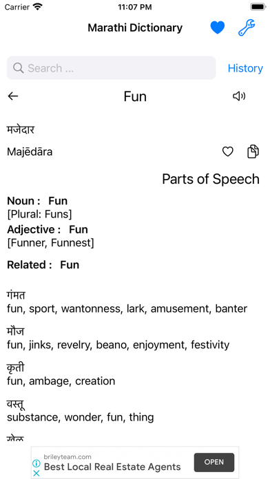 Smart Marathi Dictionary Screenshot