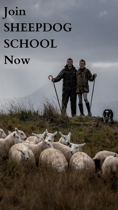 Sheepdog School Screenshot
