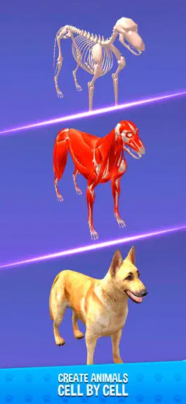 Game screenshot IDLE Animal Anatomy mod apk