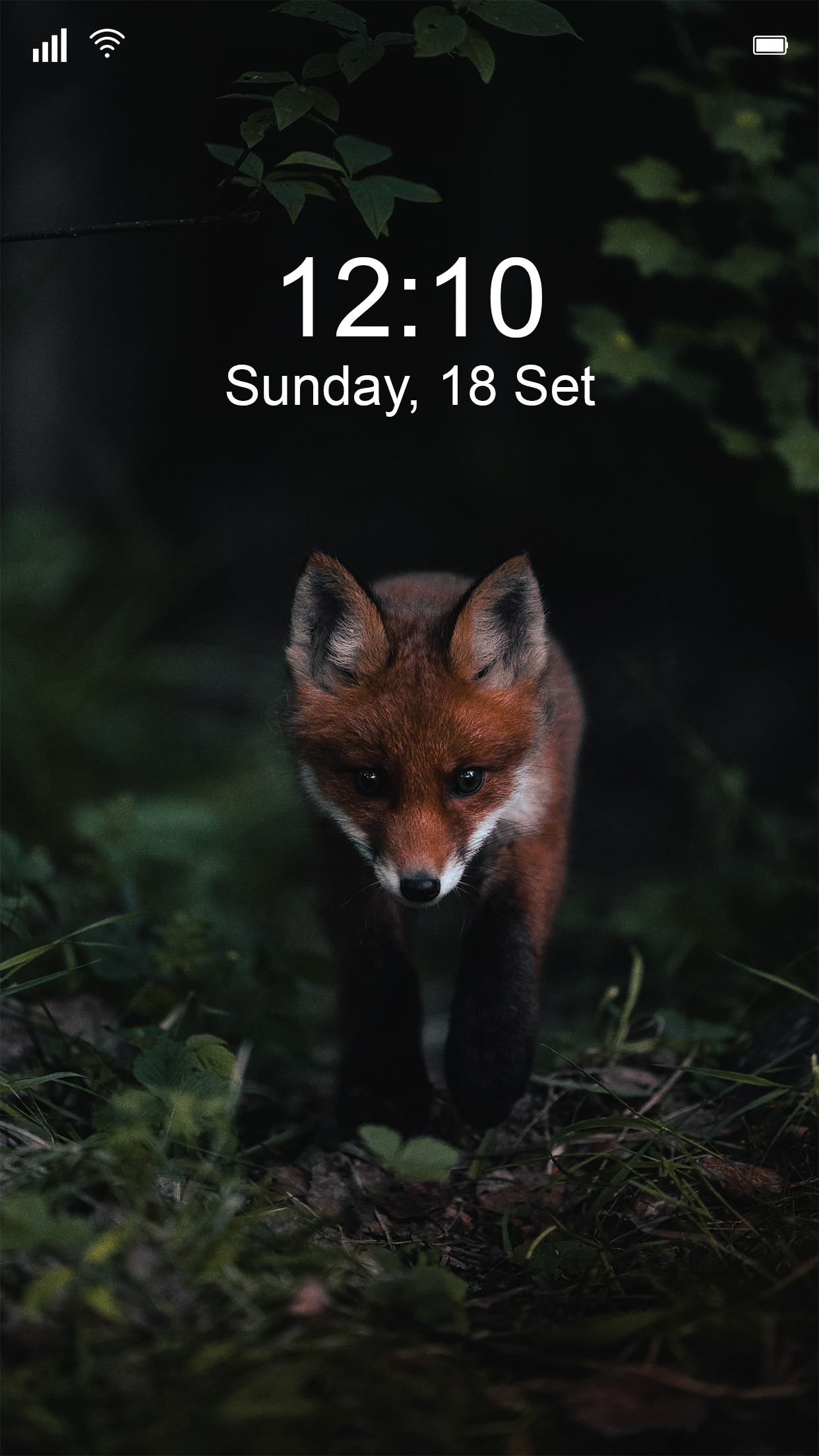 Pixs Wall - HD Cool Wallpaper