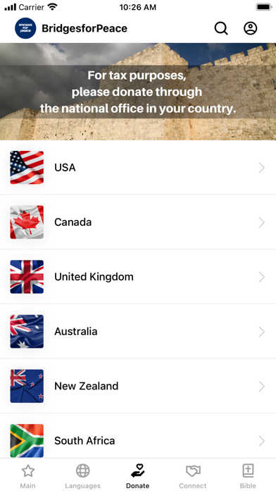 Bridges for Peace Screenshot