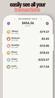 envelope budget app - foodie problems & solutions and troubleshooting guide - 3