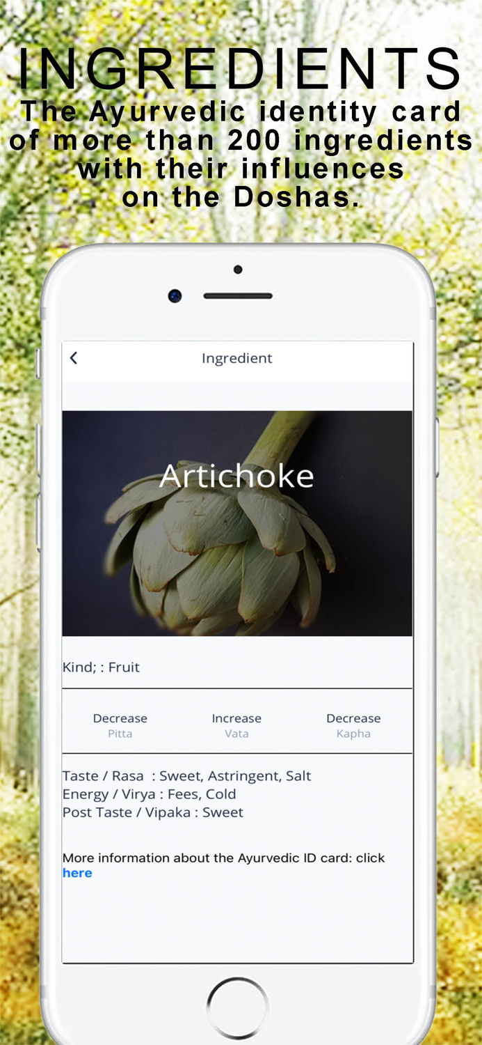 Ayurveda Yoga Meditation