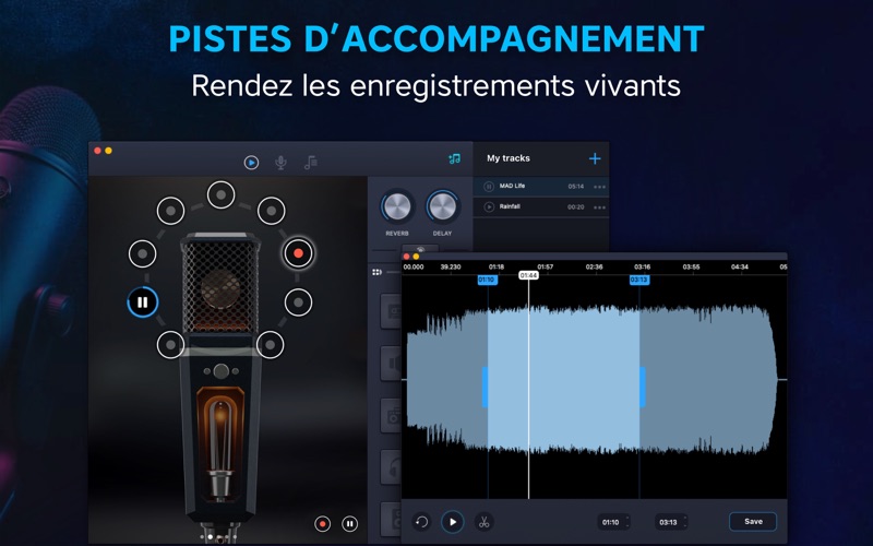 Screenshot #3 pour Pro Microphone: Audio & Son