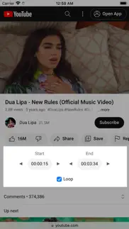 ytlooper - tube looper айфон картинки 1