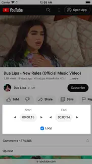 ytlooper - tube looper iphone screenshot 1