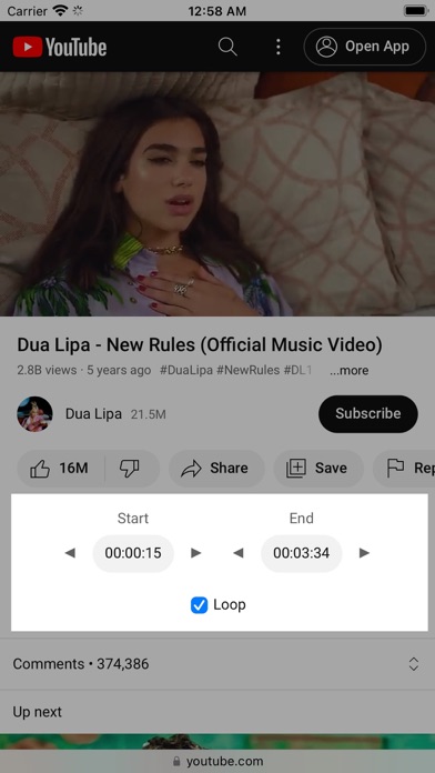 YTLooper - Tube Looper Screenshot