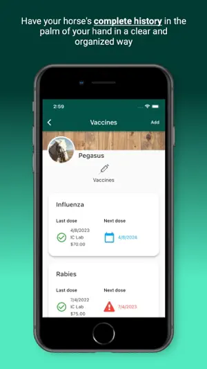 Horsefy screenshot 4
