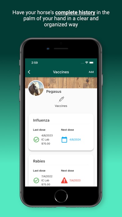 Horsefy Screenshot