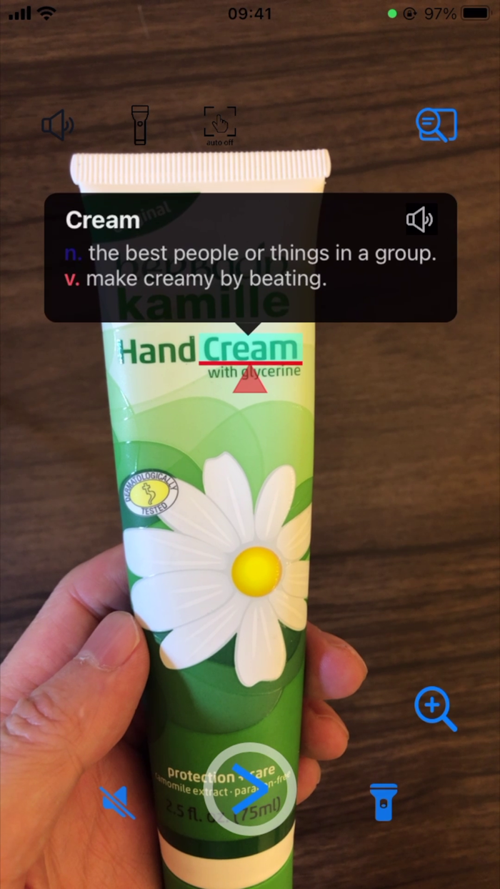 Camera Dictionary with WordNet
