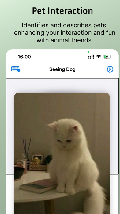 Seeing Dogs Screenshot