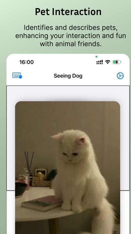 Seeing Dogs screenshot-3