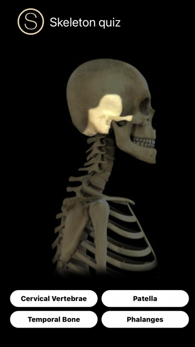 Human Anatomy Study Guide Screenshot
