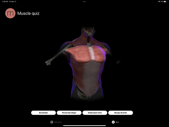 Screenshot #5 pour Muscle Study Guide