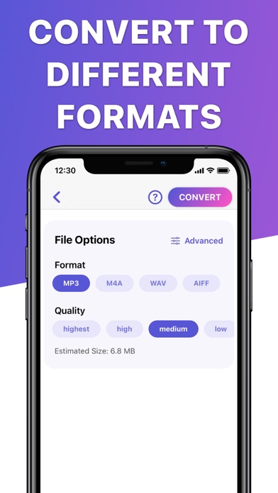 Video 2 MP3 Converter Screenshot