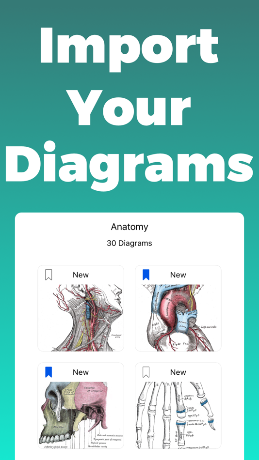 #3. Anatomy and Physiology GO (macOS) بواسطة: This Century Software