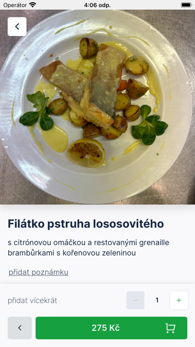 Gastro-Taxi Screenshot