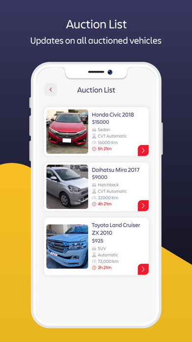 Mi Auto Auctions Screenshot