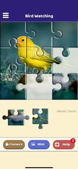 Game screenshot Bird Watching Puzzle mod apk