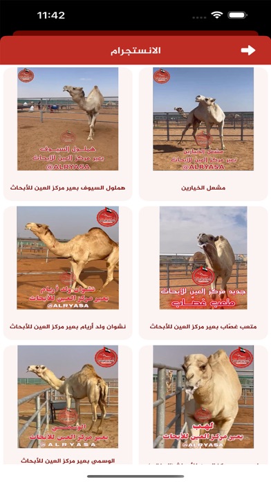 مركز العين للأبحاث Screenshot